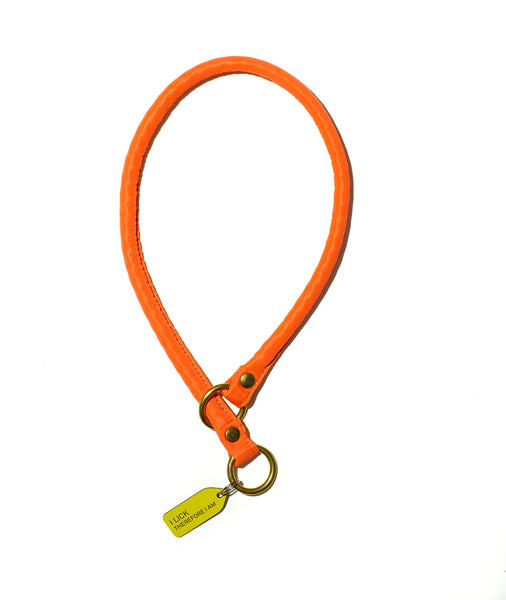 Nylon SlipOn Dog Collars Mr. Dog New York