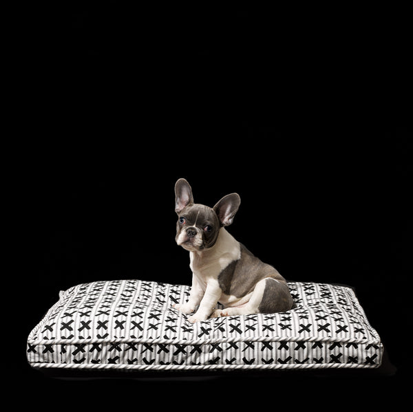 Classic X-Print Bed - Mr. Dog New York