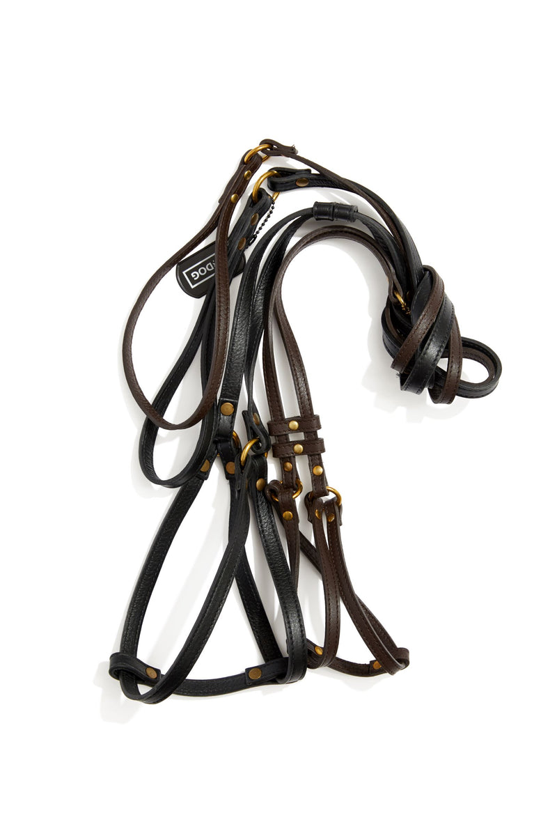 Step-In Dog Harness & Leash Leather