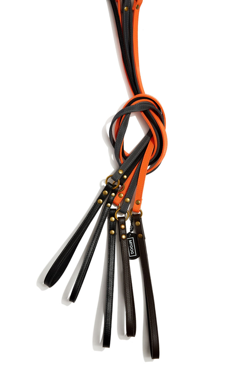 Step-In Dog Harness & Leash Nylon w/Leather Accents