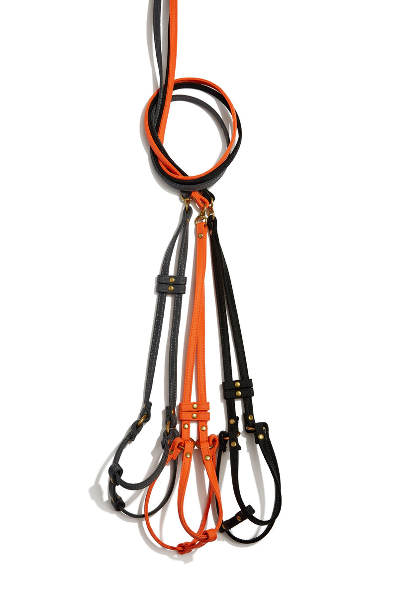 Step-In Dog Harness & Leash Nylon