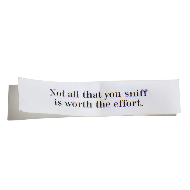 Good Fortune Dog Treats