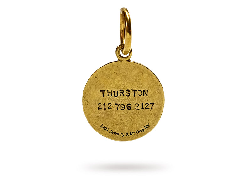 Personalized All Seeing Eye Brass Dog Charm
