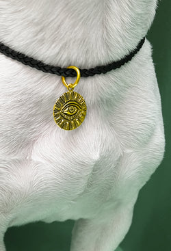 All Seeing Eye Brass Dog Charm