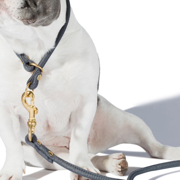 Nylon Dog Leash for Slip-On Collar