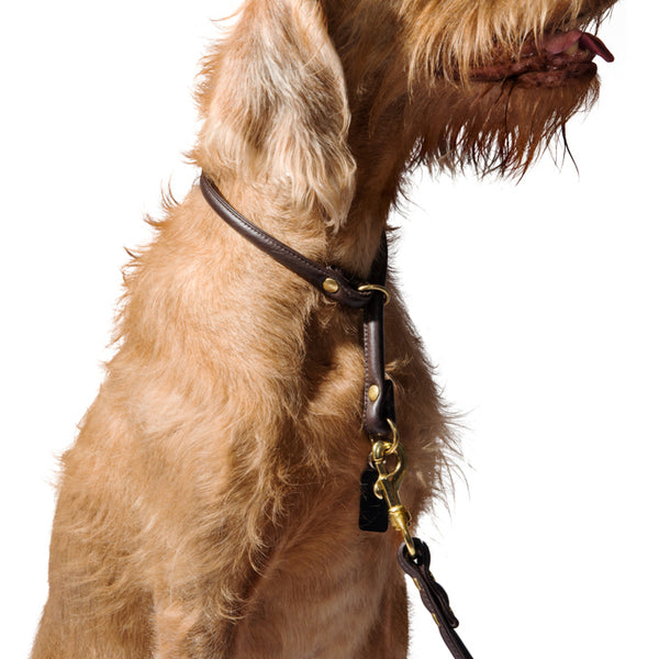 Leather Dog Leash for Slip-On Collar