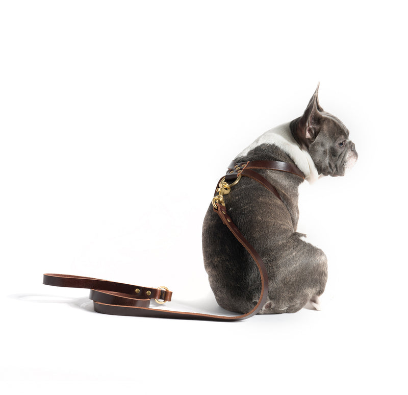 K-Harness & Leash - Mr. Dog New York